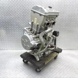 Polaris RZR 1000 Engine Motor